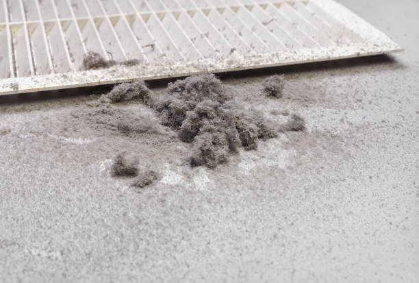 Best Air Duct Inspection  in Arcola, VA