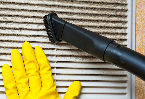 Best Home Air Vent Cleaning  in Arcola, VA